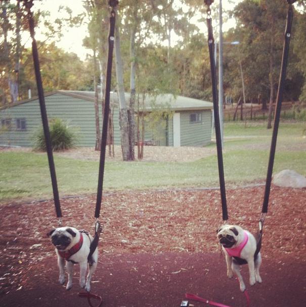 Прикольные и интересные картинки обо всем на свете.