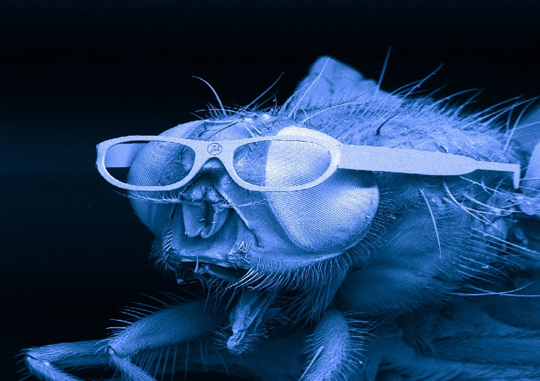 Прикольные и интересные картинки обо всем на свете.