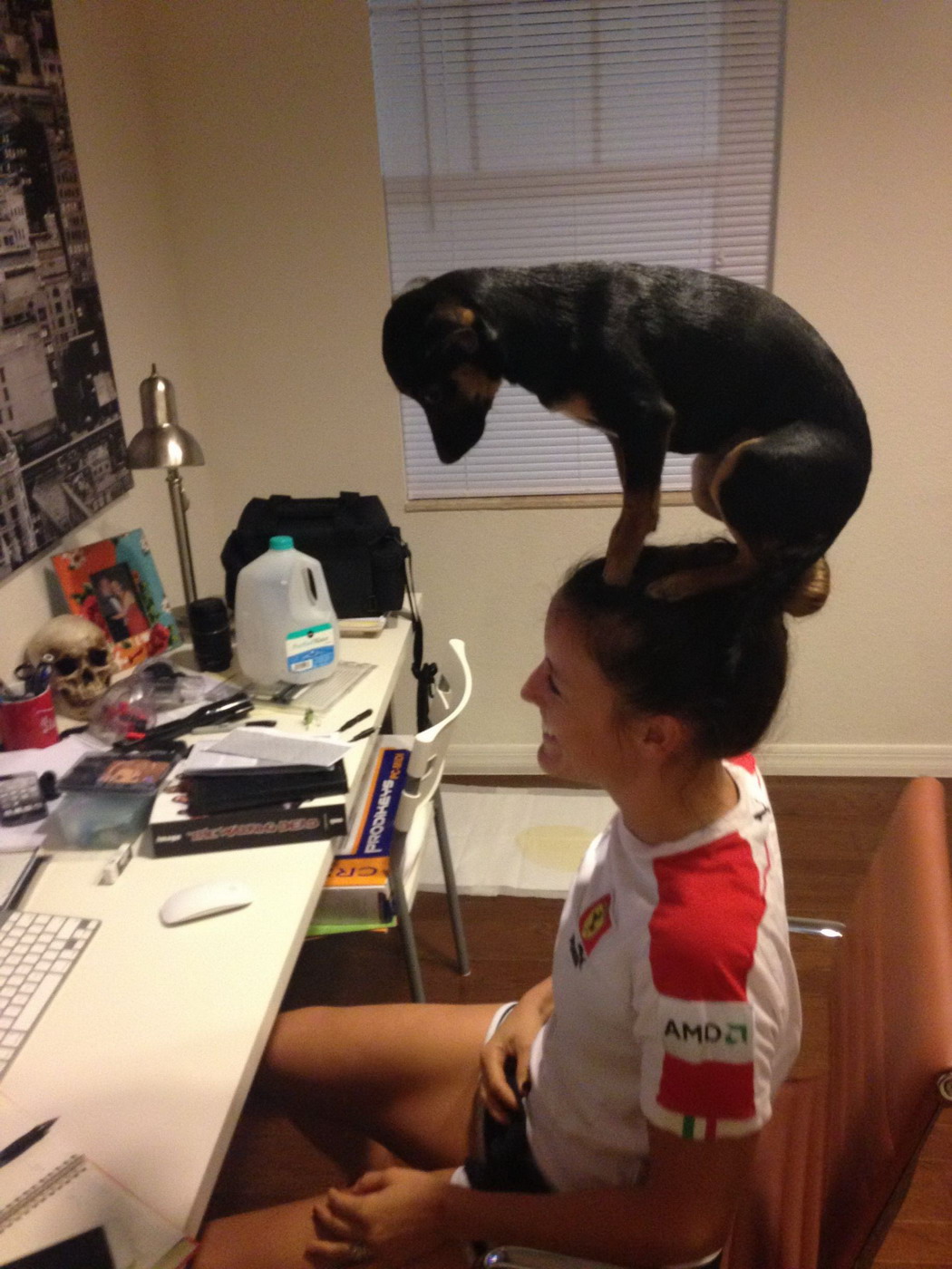 Прикольные и интересные картинки обо всем на свете.