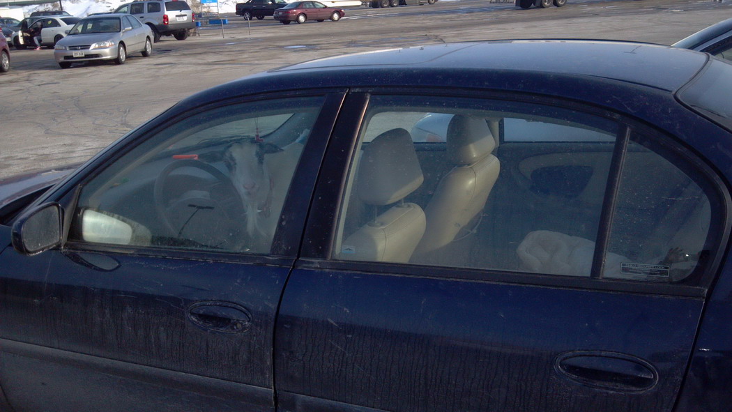 Прикольные и интересные картинки обо всем на свете.