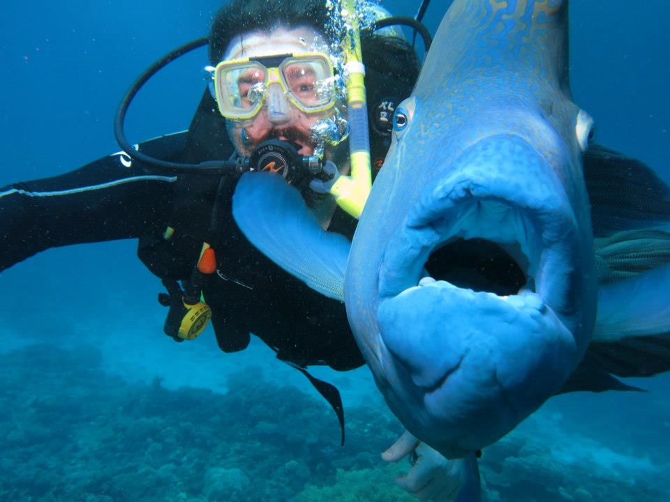 Прикольные и интересные картинки обо всем на свете.