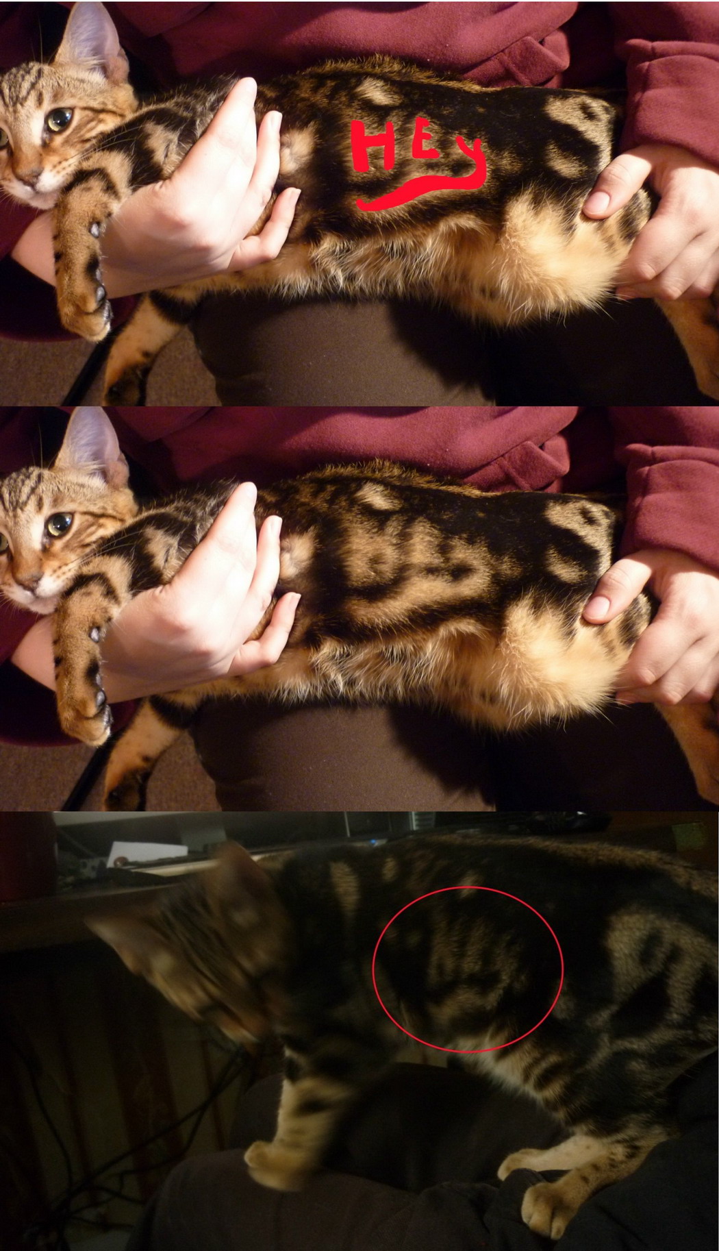 Прикольные и интересные картинки обо всем на свете.