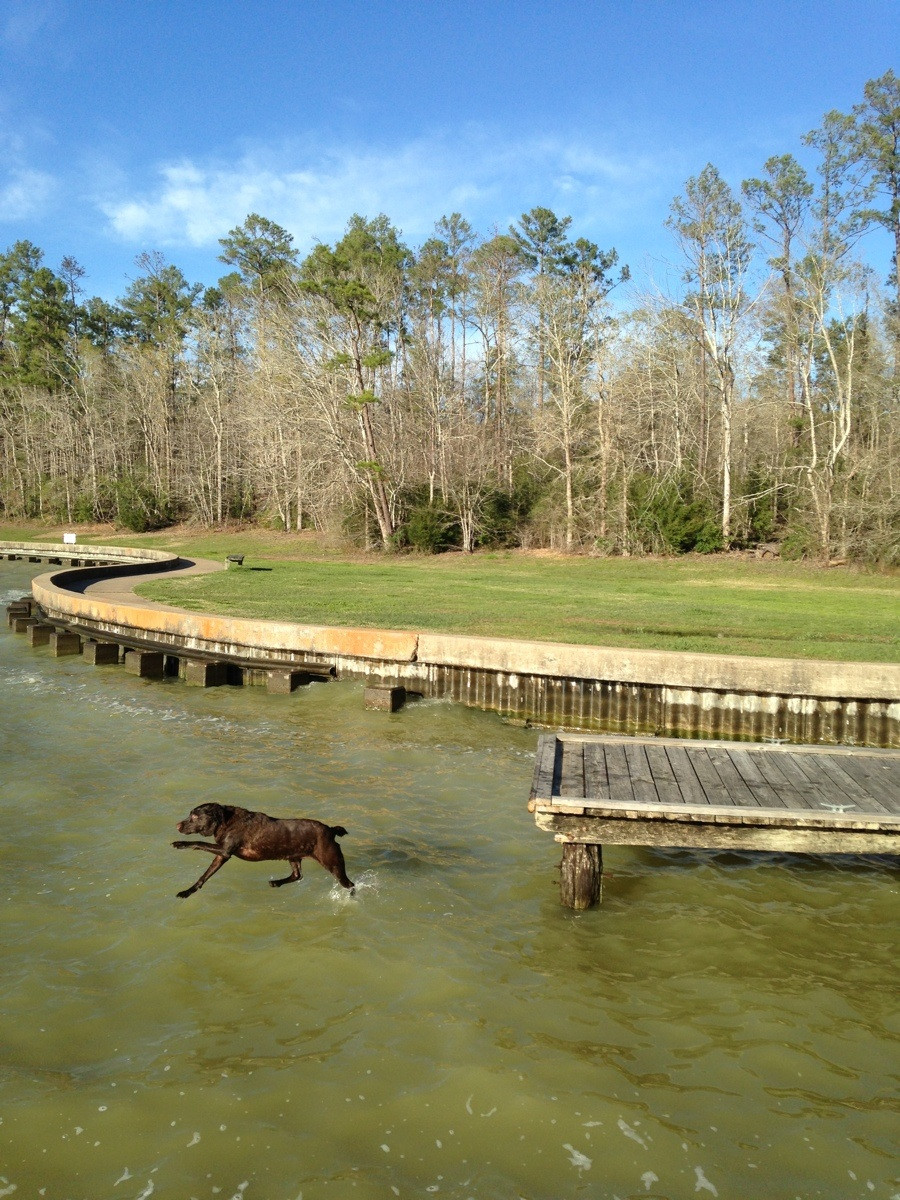 Прикольные и интересные картинки обо всем на свете.