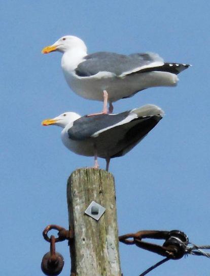 Прикольные и интересные картинки обо всем на свете.