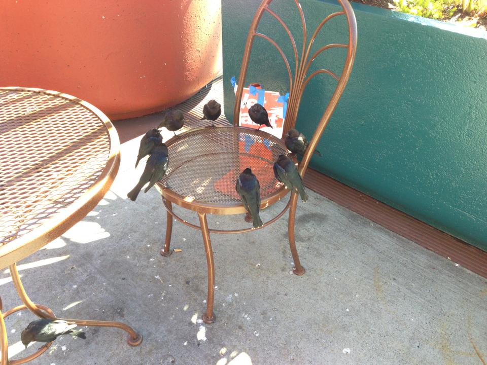 Прикольные и интересные картинки обо всем на свете.