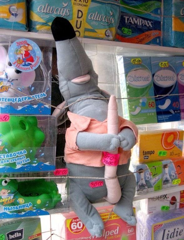 Прикольные и интересные картинки обо всем на свете.