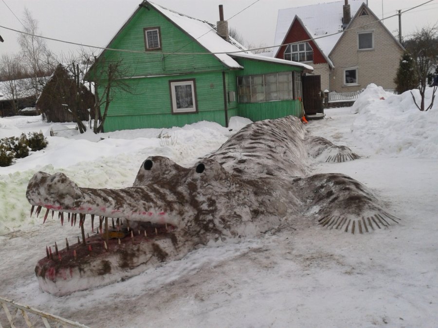 Прикольные и интересные картинки обо всем на свете.