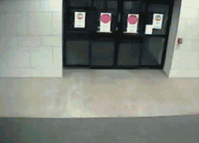 Прикольные и смешные анамированные гифки.