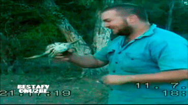 Классные гифки (25 гифок)