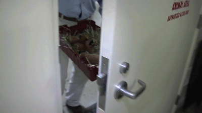 Классные гифки (25 гифок)