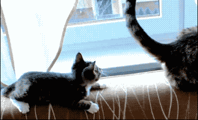 Классные гифки (25 гифок)