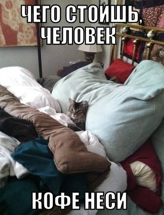 Прикольные картинки (108 фото)