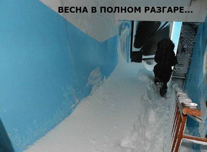 Прикольные картинки (108 фото)