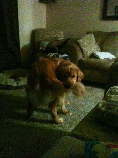 Прикольные картинки (108 фото)