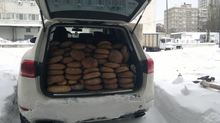 Прикольные картинки (108 фото)