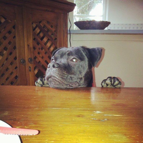 Прикольные картинки (108 фото)