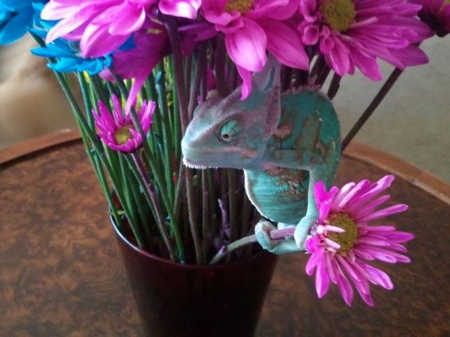 Прикольные картинки (108 фото)