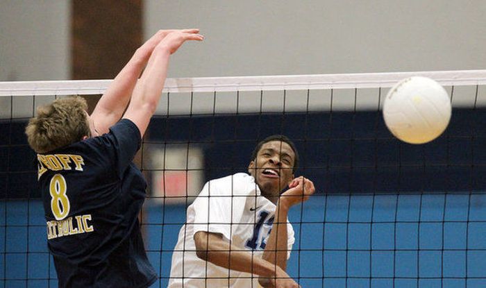 Прикольные картинки (108 фото)