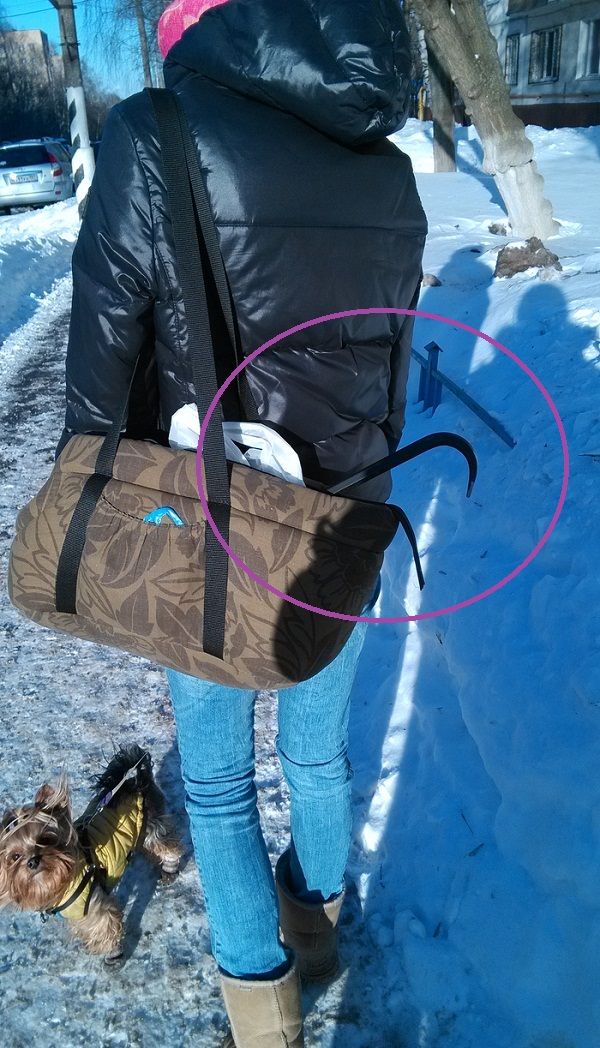 Прикольные картинки (108 фото)