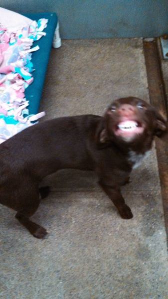 Прикольные картинки (108 фото)