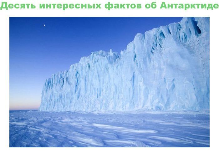 Интересные факты об Антарктиде (11 картинок)