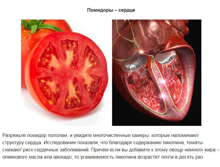 ТОП-10 продуктов, которые полезны для похожих по виду органов человека (9 фото)