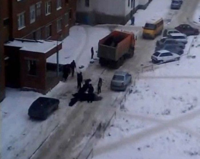 Дорожные службы появляются только с наступлением холодов (94 фото)