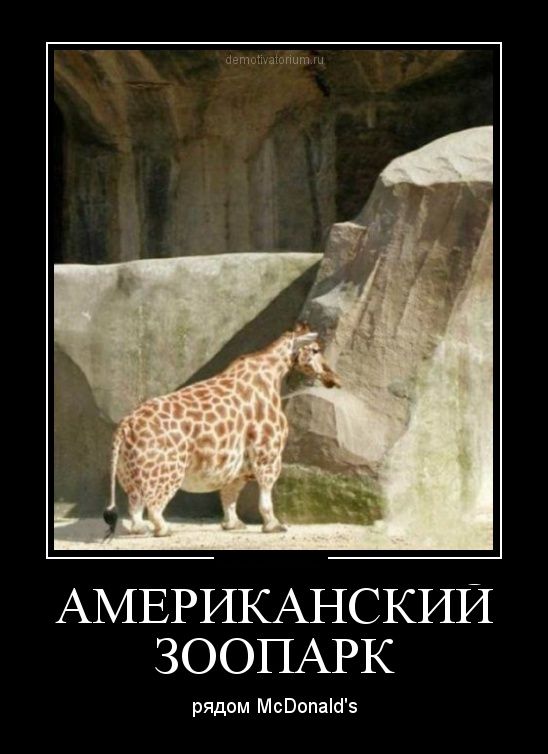 Прикольные и смешные демотиваторы обовсем на свете.