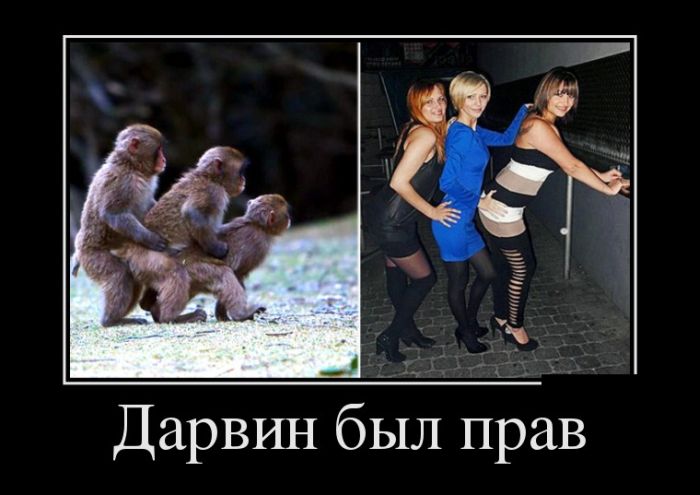 Прикольные и смешные демотиваторы обовсем на свете.