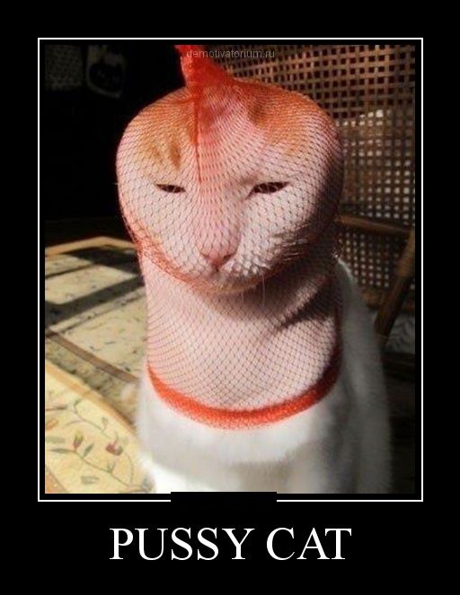 Прикольные и смешные демотиваторы обовсем на свете.