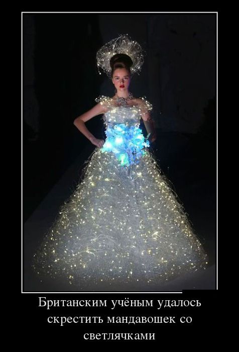 Прикольные и смешные демотиваторы обовсем на свете.