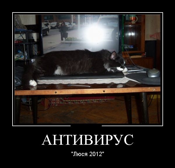 Прикольные и смешные демотиваторы обовсем на свете.