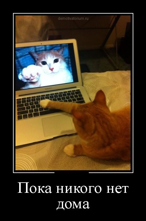 Прикольные и смешные демотиваторы обовсем на свете.