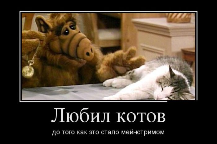 Прикольные и смешные демотиваторы обовсем на свете.