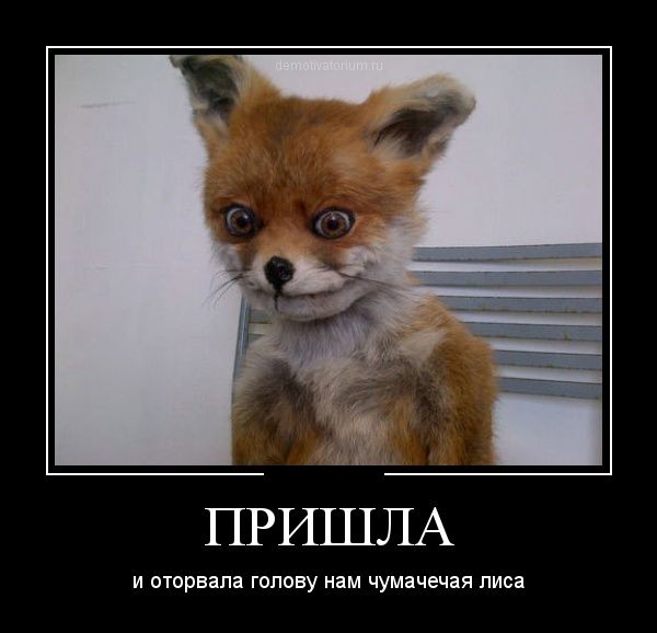Прикольные и смешные демотиваторы обовсем на свете.