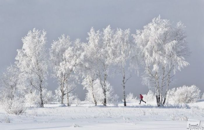 ТОП-40 самых лучших снимков России за 2012 год (40 фото)