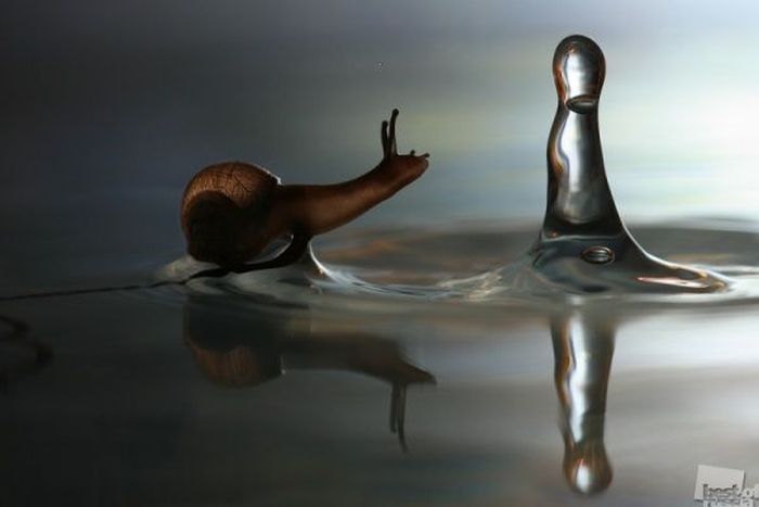 ТОП-40 самых лучших снимков России за 2012 год (40 фото)