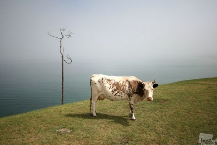 ТОП-40 самых лучших снимков России за 2012 год (40 фото)