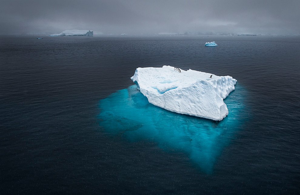 Конкурс фотографии National Geographic 2012
